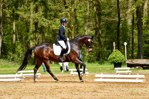 Quali für Goldene Schärpe Ponys in Berge   6+7.5.23 | Amelie Emma Pudednz - Bordeau_10 