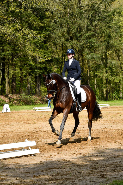 Quali für Goldene Schärpe Ponys in Berge   6+7.5.23 | Amelie Emma Pudednz - Bordeau_12 