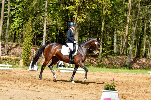 Quali für Goldene Schärpe Ponys in Berge   6+7.5.23 | Amelie Emma Pudednz - Bordeau_13 