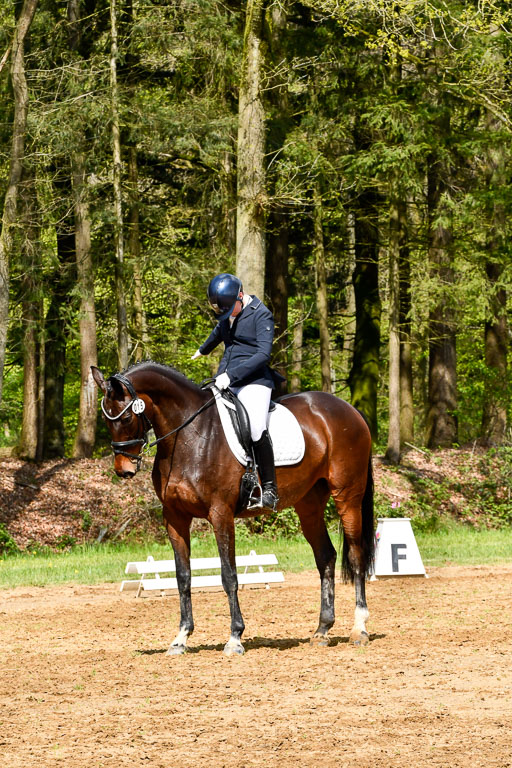 Quali für Goldene Schärpe Ponys in Berge   6+7.5.23 | Amelie Emma Pudednz - Bordeau_14 