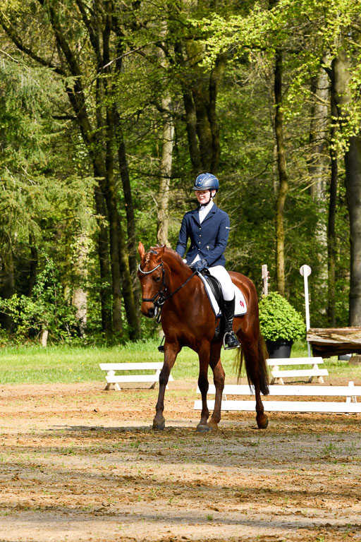 Quali für Goldene Schärpe Ponys in Berge   6+7.5.23 | Anna Hümmeler - Daily Motion 