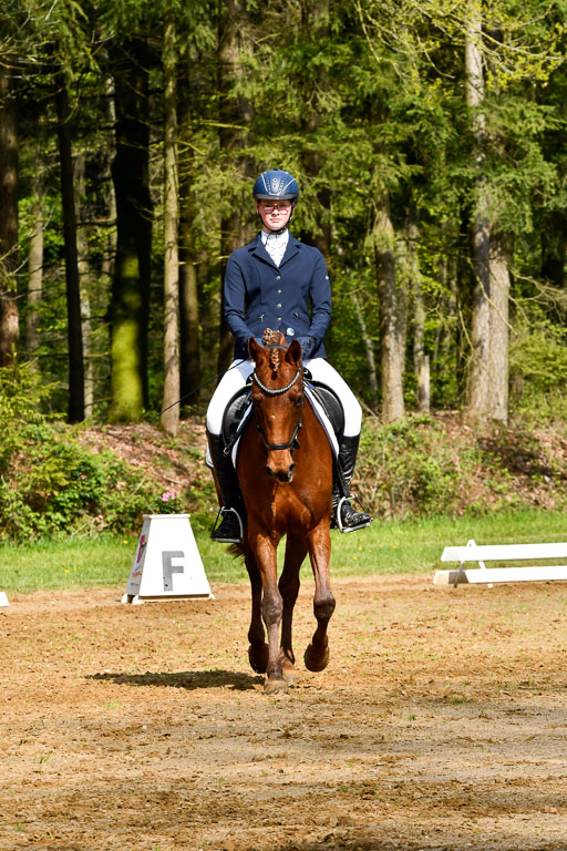 Quali für Goldene Schärpe Ponys in Berge   6+7.5.23 | Anna Hümmeler - Daily Motion_04 