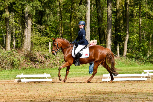 Quali für Goldene Schärpe Ponys in Berge   6+7.5.23 | Anna Hümmeler - Daily Motion_06 