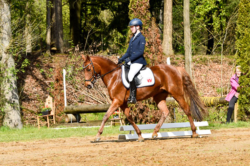 Quali für Goldene Schärpe Ponys in Berge   6+7.5.23 | Anna Hümmeler - Daily Motion_09 