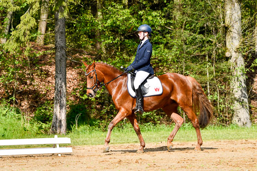 Quali für Goldene Schärpe Ponys in Berge   6+7.5.23 | Anna Hümmeler - Daily Motion_10 