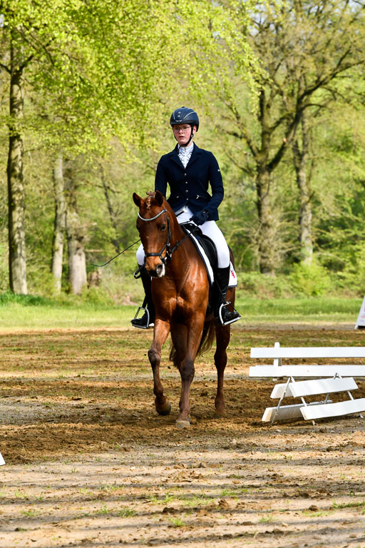 Quali für Goldene Schärpe Ponys in Berge   6+7.5.23 | Anna Hümmeler - Daily Motion_11 