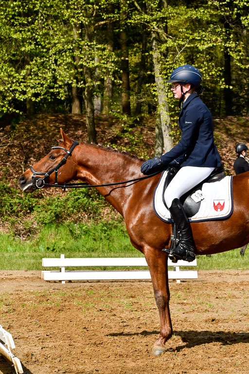 Quali für Goldene Schärpe Ponys in Berge   6+7.5.23 | Anna Hümmeler - Daily Motion_15 