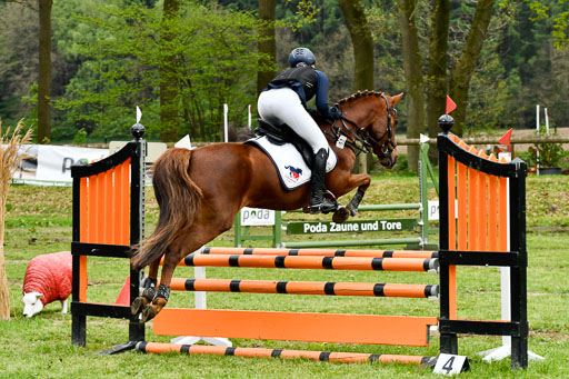 Quali für Goldene Schärpe Ponys in Berge   6+7.5.23 | Anna Hümmeler - Daily Motion_23 