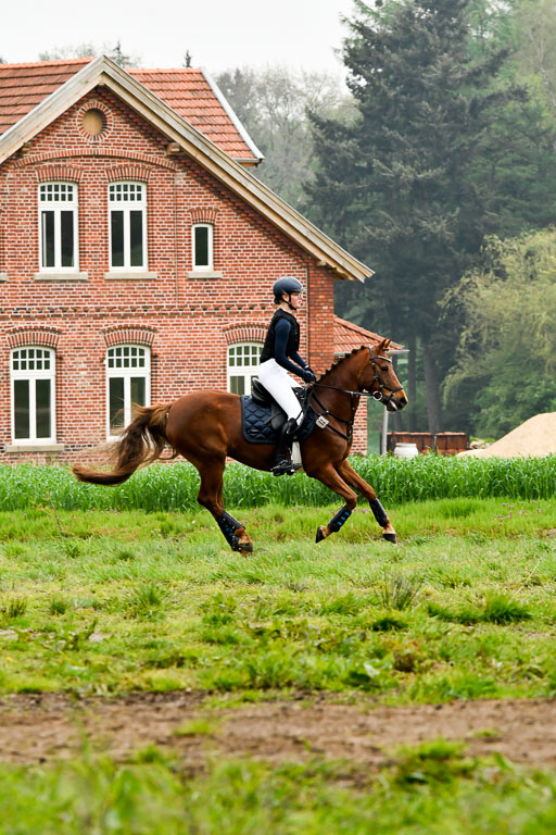 Quali für Goldene Schärpe Ponys in Berge   6+7.5.23 | Anna Hümmeler - Daily Motion_32 