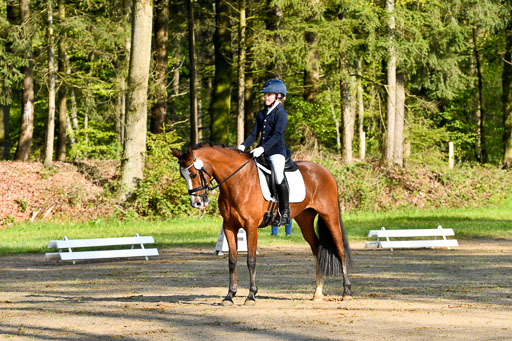 Quali für Goldene Schärpe Ponys in Berge   6+7.5.23 | Anna Kotschofsky - Quatmans Girl_16 