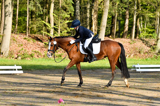 Quali für Goldene Schärpe Ponys in Berge   6+7.5.23 | Anna Kotschofsky - Quatmans Girl_17 