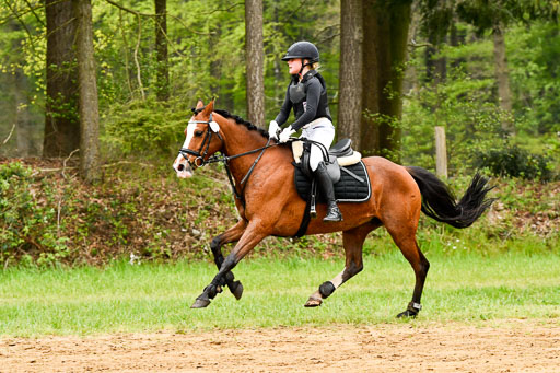 Quali für Goldene Schärpe Ponys in Berge   6+7.5.23 | Anna Kotschofsky - Quatmans Girl_48 