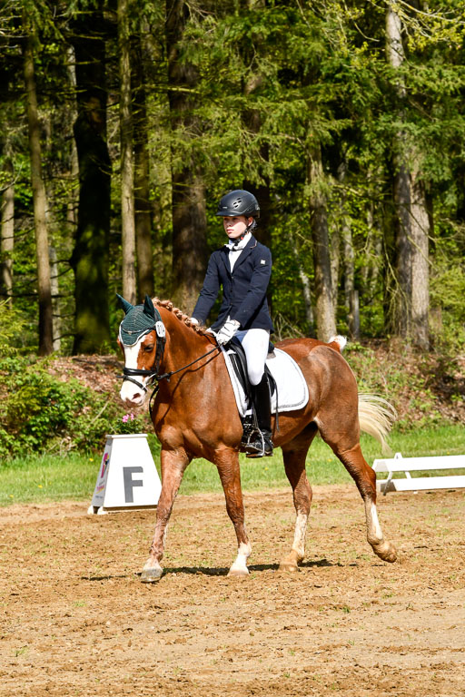 Quali für Goldene Schärpe Ponys in Berge   6+7.5.23 | Carlotte Eilers - Best Dancer _01 