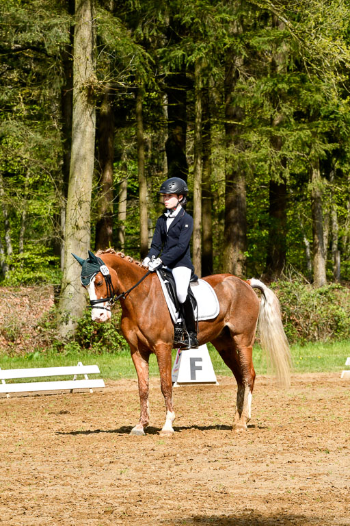 Quali für Goldene Schärpe Ponys in Berge   6+7.5.23 | Carlotte Eilers - Best Dancer _02 