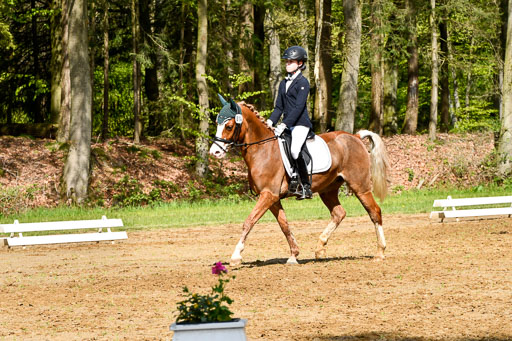 Quali für Goldene Schärpe Ponys in Berge   6+7.5.23 | Carlotte Eilers - Best Dancer _04 
