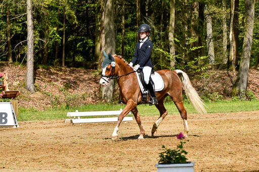 Quali für Goldene Schärpe Ponys in Berge   6+7.5.23 | Carlotte Eilers - Best Dancer _05 