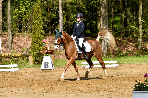 Quali für Goldene Schärpe Ponys in Berge   6+7.5.23 | Carlotte Eilers - Best Dancer _06 