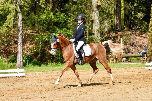 Quali für Goldene Schärpe Ponys in Berge   6+7.5.23 | Carlotte Eilers - Best Dancer _07 