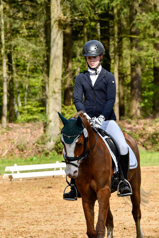Quali für Goldene Schärpe Ponys in Berge   6+7.5.23 | Carlotte Eilers - Best Dancer _10 