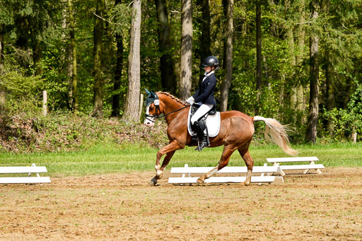Quali für Goldene Schärpe Ponys in Berge   6+7.5.23 | Carlotte Eilers - Best Dancer _14 