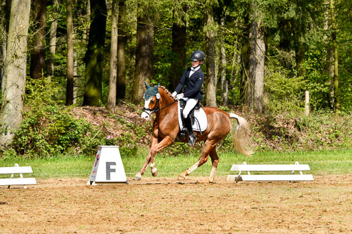Quali für Goldene Schärpe Ponys in Berge   6+7.5.23 | Carlotte Eilers - Best Dancer _16 