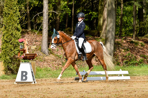 Quali für Goldene Schärpe Ponys in Berge   6+7.5.23 | Carlotte Eilers - Best Dancer _17 