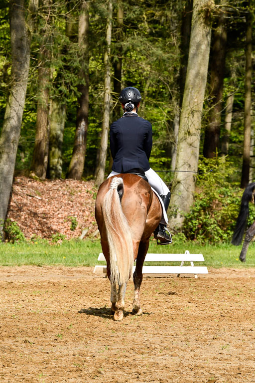 Quali für Goldene Schärpe Ponys in Berge   6+7.5.23 | Carlotte Eilers - Best Dancer _20 