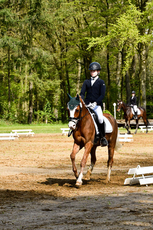 Quali für Goldene Schärpe Ponys in Berge   6+7.5.23 | Carlotte Eilers - Best Dancer _23 