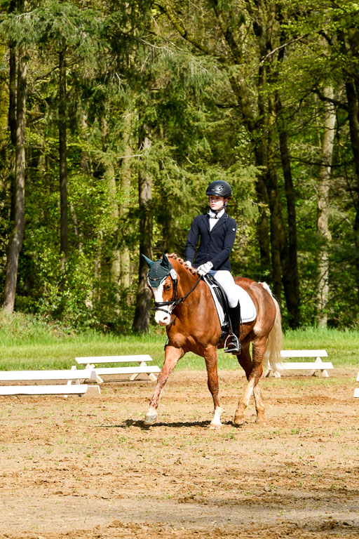 Quali für Goldene Schärpe Ponys in Berge   6+7.5.23 | Carlotte Eilers - Best Dancer _27 