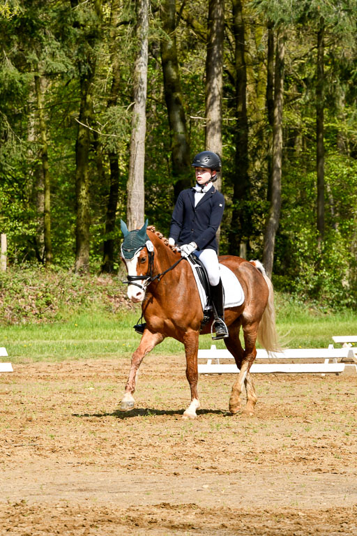 Quali für Goldene Schärpe Ponys in Berge   6+7.5.23 | Carlotte Eilers - Best Dancer _30 