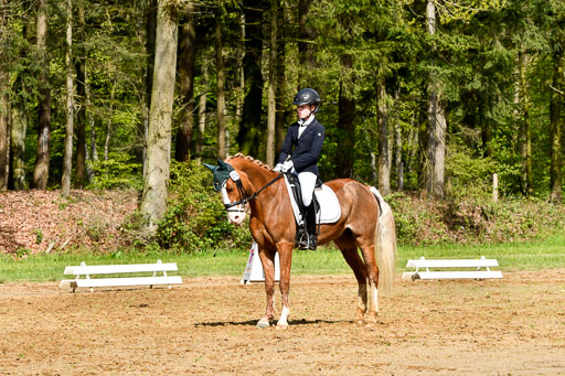 Quali für Goldene Schärpe Ponys in Berge   6+7.5.23 | Carlotte Eilers - Best Dancer _31 