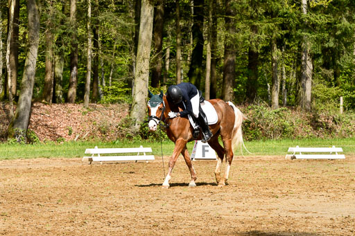 Quali für Goldene Schärpe Ponys in Berge   6+7.5.23 | Carlotte Eilers - Best Dancer _32 