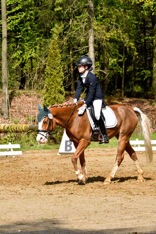 Quali für Goldene Schärpe Ponys in Berge   6+7.5.23 | Carlotte Eilers - Best Dancer _35 