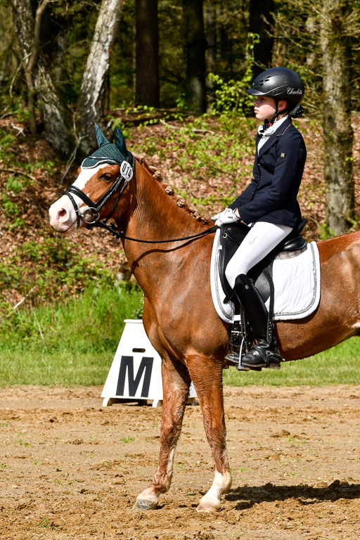 Quali für Goldene Schärpe Ponys in Berge   6+7.5.23 | Carlotte Eilers - Best Dancer _38 
