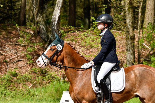 Quali für Goldene Schärpe Ponys in Berge   6+7.5.23 | Carlotte Eilers - Best Dancer _41 