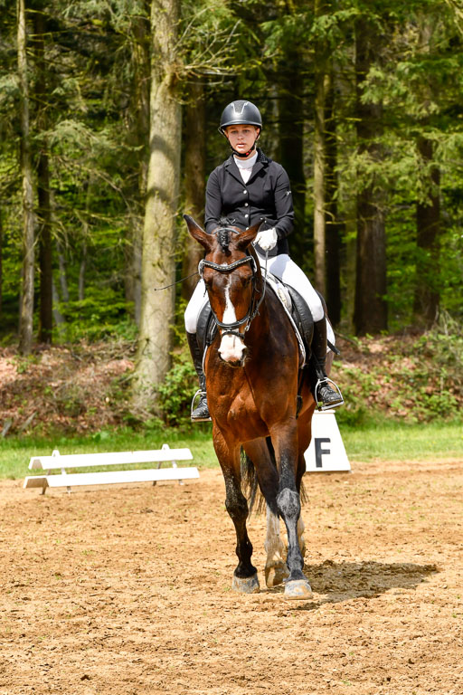 Quali für Goldene Schärpe Ponys in Berge   6+7.5.23 | Charlotte Boekhoff - Cheekys Cute Girl_03 