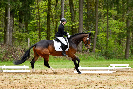 Quali für Goldene Schärpe Ponys in Berge   6+7.5.23 | Charlotte Boekhoff - Cheekys Cute Girl_09 