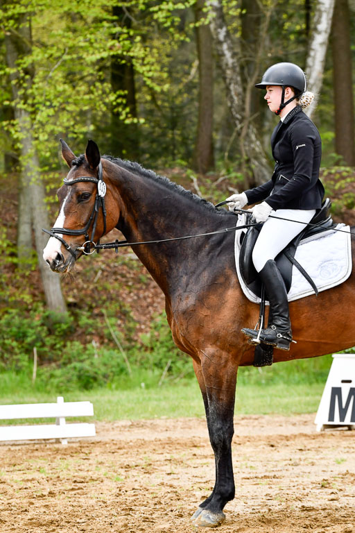 Quali für Goldene Schärpe Ponys in Berge   6+7.5.23 | Charlotte Boekhoff - Cheekys Cute Girl_14 