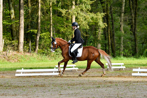 Quali für Goldene Schärpe Ponys in Berge   6+7.5.23 | Charlotte Boekhoff - Milano 