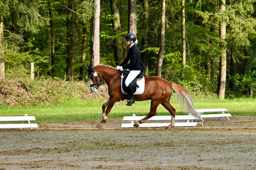 Quali für Goldene Schärpe Ponys in Berge   6+7.5.23 | Charlotte Boekhoff - Milano_01 