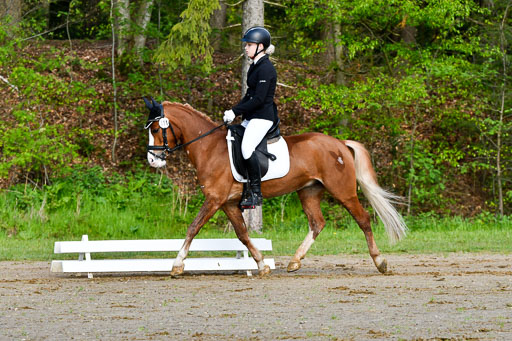 Quali für Goldene Schärpe Ponys in Berge   6+7.5.23 | Charlotte Boekhoff - Milano_03 