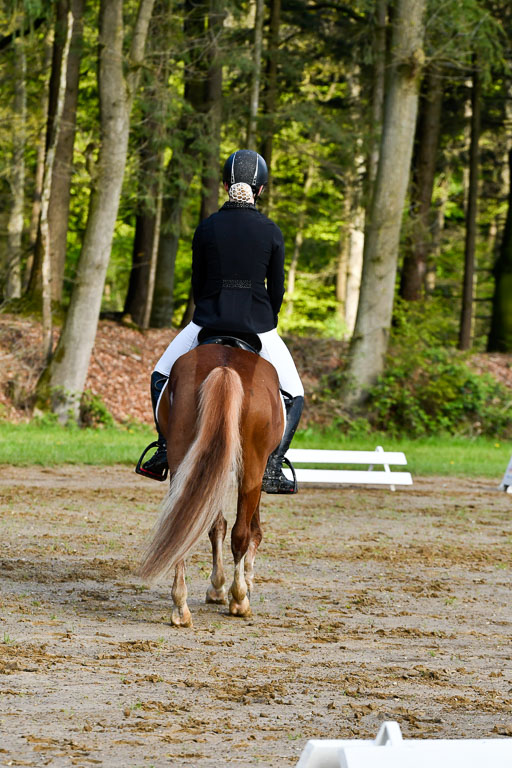 Quali für Goldene Schärpe Ponys in Berge   6+7.5.23 | Charlotte Boekhoff - Milano_04 