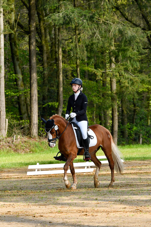 Quali für Goldene Schärpe Ponys in Berge   6+7.5.23 | Charlotte Boekhoff - Milano_07 