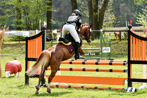 Quali für Goldene Schärpe Ponys in Berge   6+7.5.23 | Charlotte Boekhoff - Milano_16 