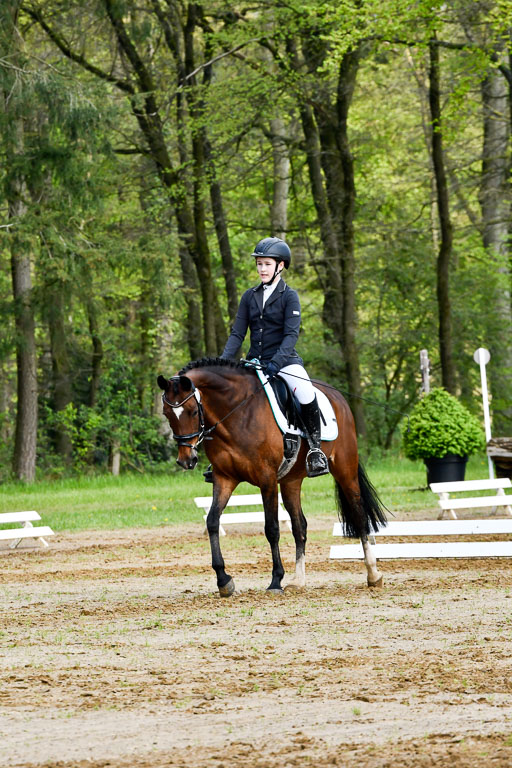 Quali für Goldene Schärpe Ponys in Berge   6+7.5.23 | Clara Wrehde - Copa Cabana 