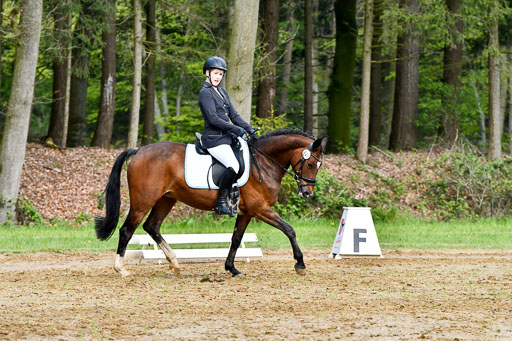 Quali für Goldene Schärpe Ponys in Berge   6+7.5.23 | Clara Wrehde - Copa Cabana_05 