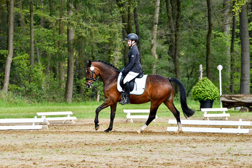 Quali für Goldene Schärpe Ponys in Berge   6+7.5.23 | Clara Wrehde - Copa Cabana_06 