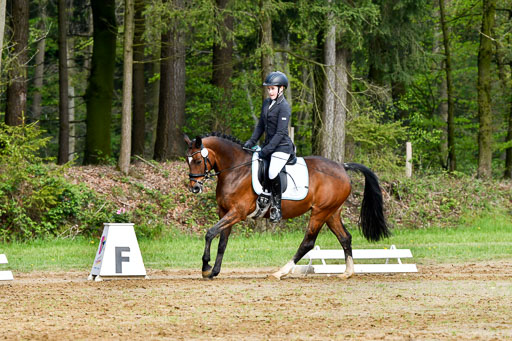 Quali für Goldene Schärpe Ponys in Berge   6+7.5.23 | Clara Wrehde - Copa Cabana_08 