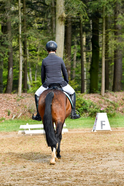 Quali für Goldene Schärpe Ponys in Berge   6+7.5.23 | Clara Wrehde - Copa Cabana_12 