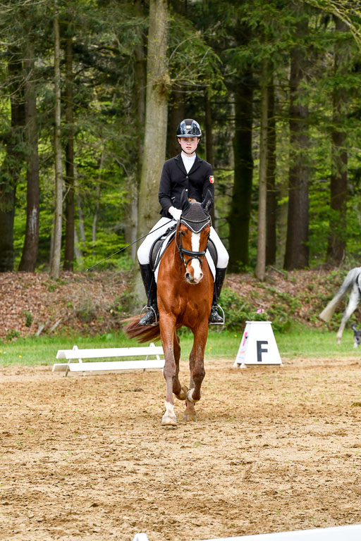Quali für Goldene Schärpe Ponys in Berge   6+7.5.23 | Cosima Nike Schmedt - Frieda Gold_01 